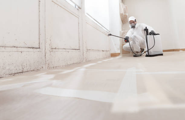 Black mold remediation team in Bedminster